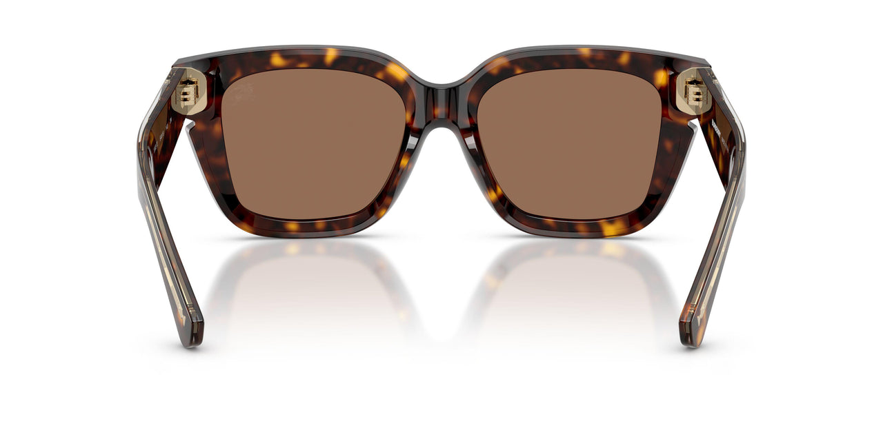 300273 - Brown - Dark Brown