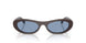 326972 - Brown - Light Blue