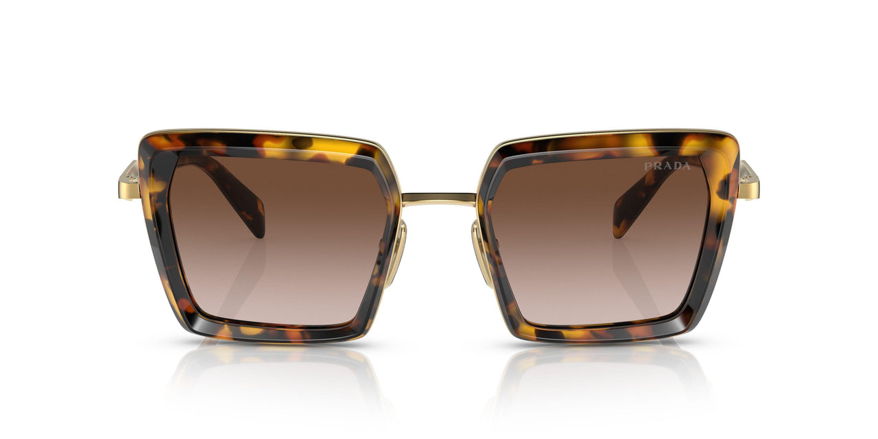 VAU6S1 - Havana - Brown Gradient