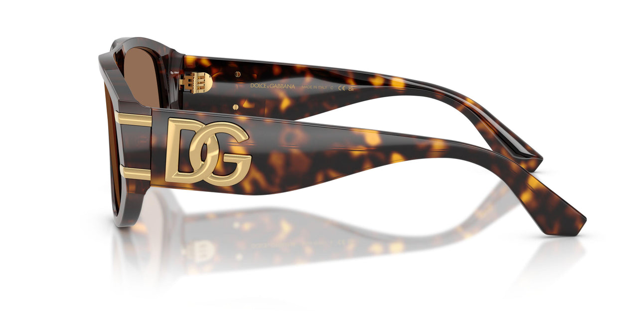 502/73 - Tortoise - Dark Brown