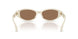 554473 - White - Dark Brown