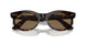 902/GI - Tortoise - Clear/brown