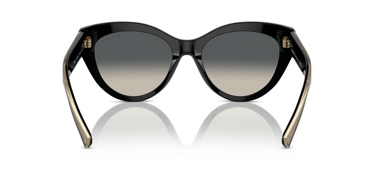 800171 - Black - Grey Gradient