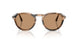 123653 - Brown - Brown
