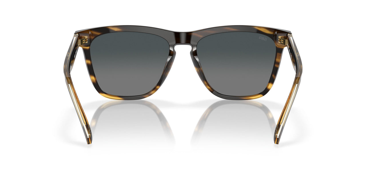 201402 - Tortoise - Gray Gradient