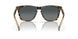 201402 - Tortoise - Gray Gradient