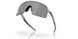 946334 - Grey - Prizm Black