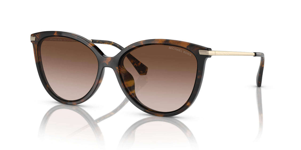 300613 - Tortoise - Brown Gradient