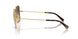 02/13 - Gold - Brown Gradient
