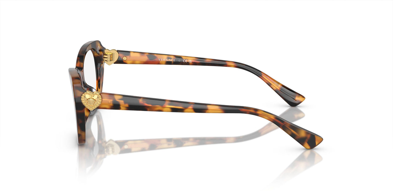 5119 - Tortoise