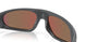 952811 - Grey - Prizm Violet