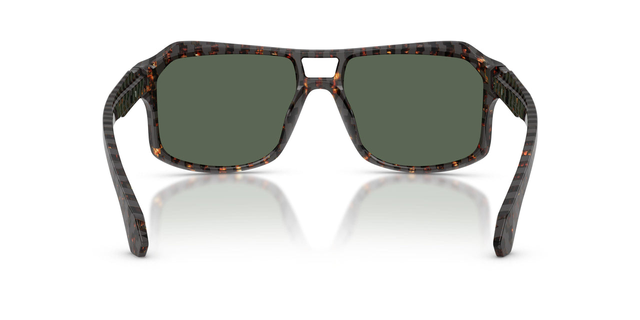 049471 - Tortoise - Green