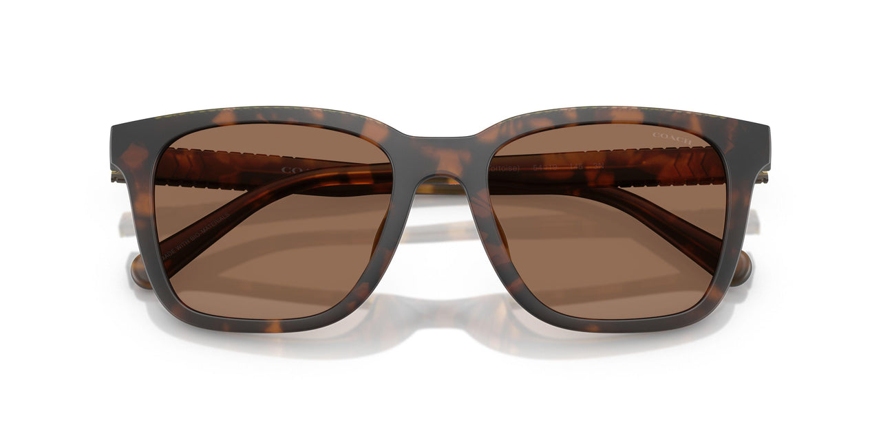 512073 - Tortoise - Brown Solid