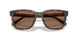 512073 - Tortoise - Brown Solid