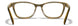 WSSRN04 Gloss Brown Demi/Champagne
