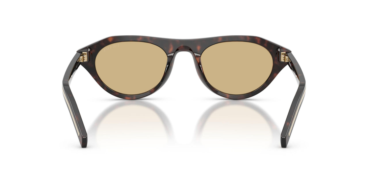 17N70R - Tortoise - Light Brown