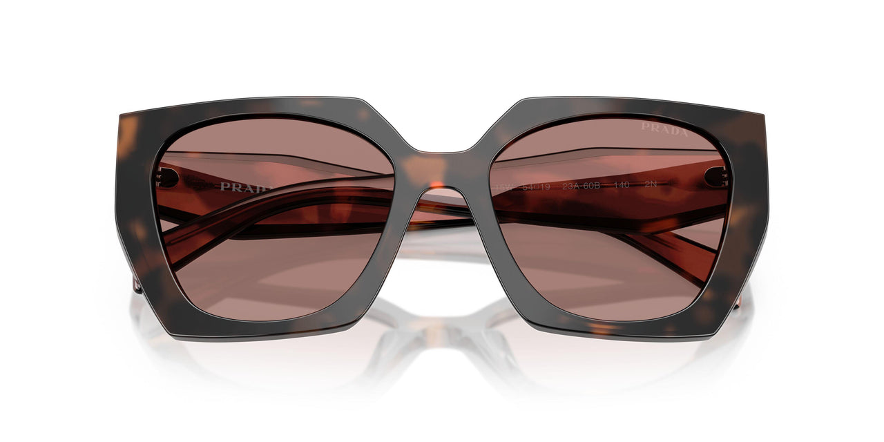 23A60B - Tortoise - Light Brown