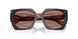 23A60B - Tortoise - Light Brown