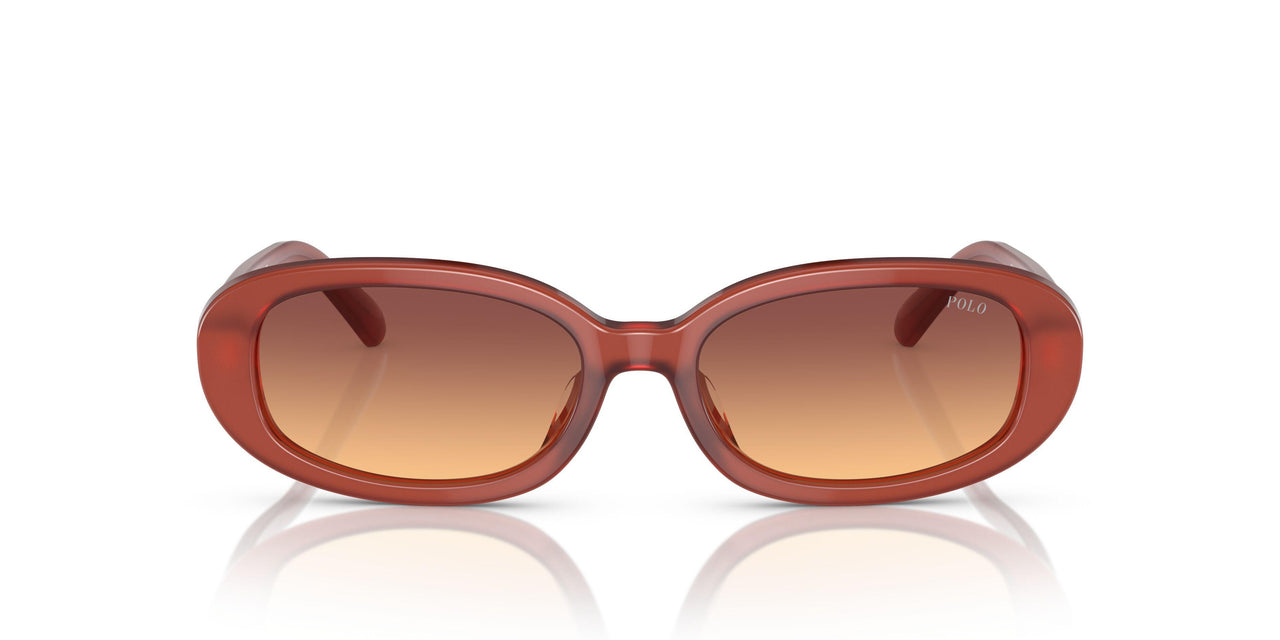 619478 - Brown - Orange Gradient Violet
