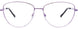 80 - Shiny Purple