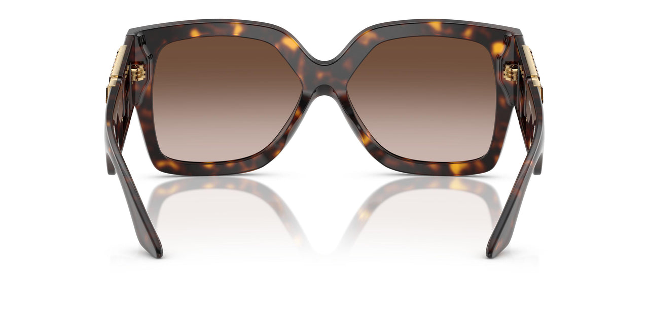 108/13 - Tortoise - Brown Gradient