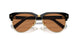 1AB2Z1 - Black - Brown