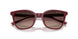 8387E2 - Red - Brown Grad Purple Grad Black