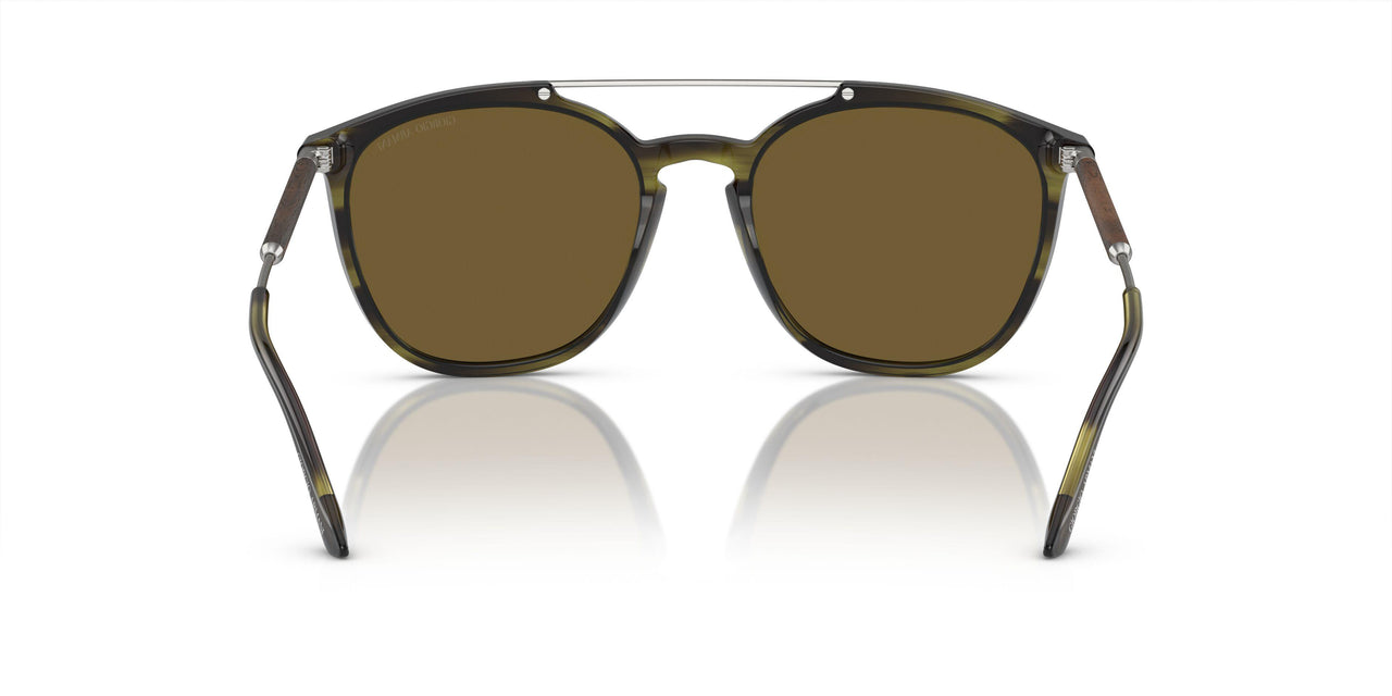 603873 - Green - Dark Brown