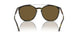 603873 - Green - Dark Brown