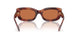 577473 - Tortoise - Brown Solid
