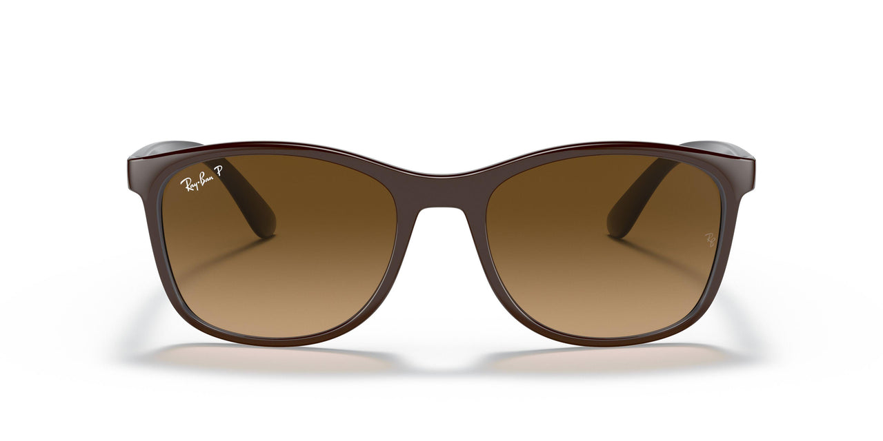 6600M2 - Brown - Brown Gradient Polar
