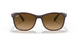 6600M2 - Brown - Brown Gradient Polar