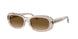 Ray-Ban 2221F Sunglasses