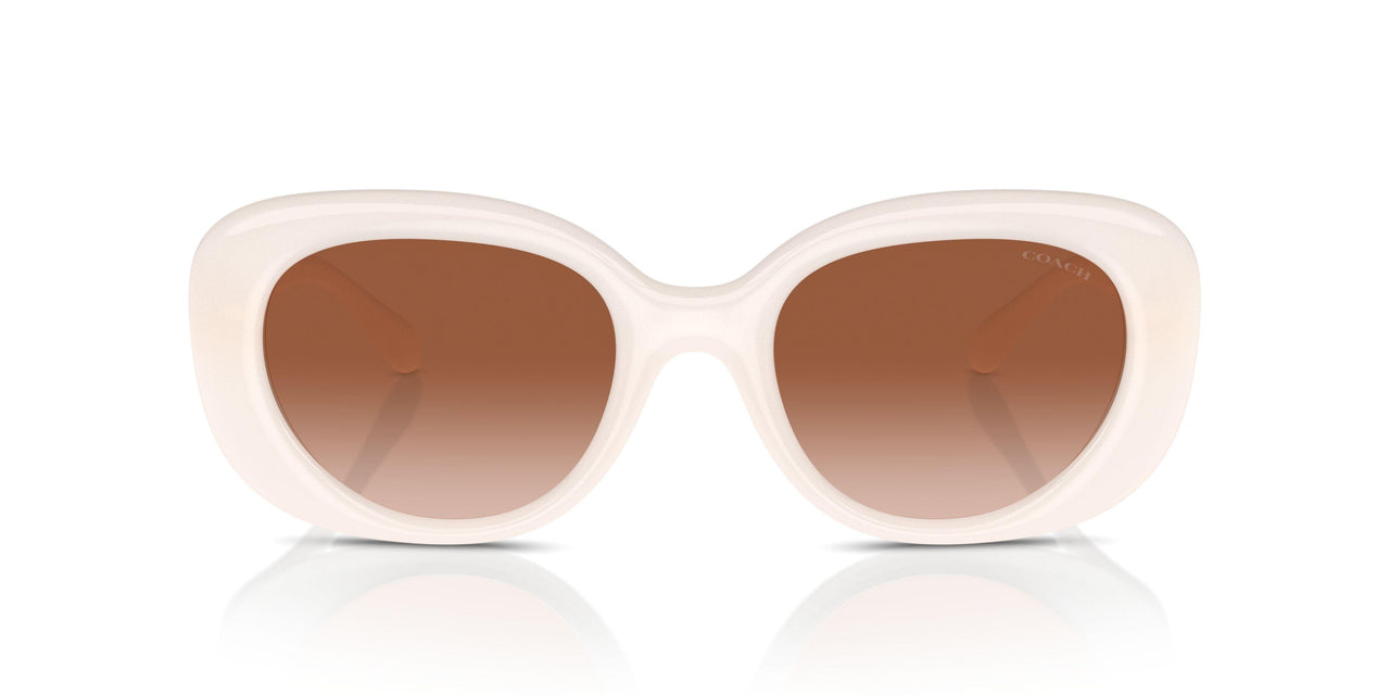 580513 - White - Brown Gradient