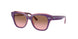 711814 - Violet - Pink Gradient Brown