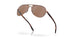407931 - Gold - Prizm Tungsten Polarized