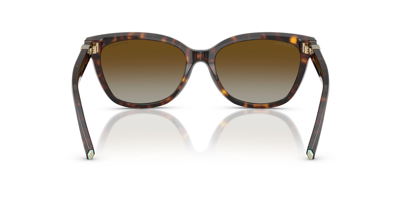 8015T5 - Tortoise - Polar Brown Gradient