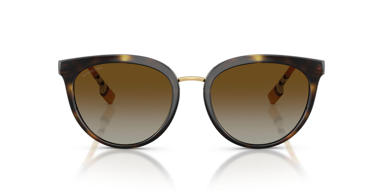 3854T5 - Havana - Polar Brown Gradient