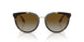 3854T5 - Havana - Polar Brown Gradient