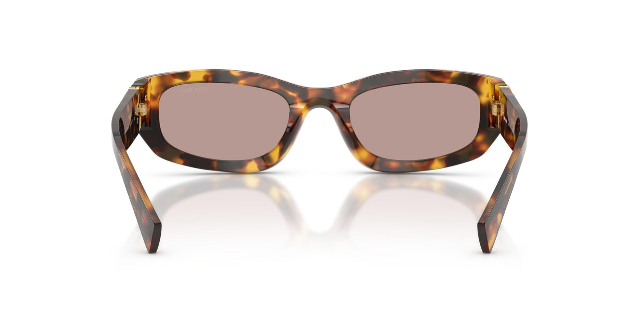 14L20I - Tortoise - Light Purple Brown