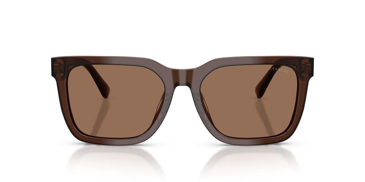 597373 - Brown - Brown Solid