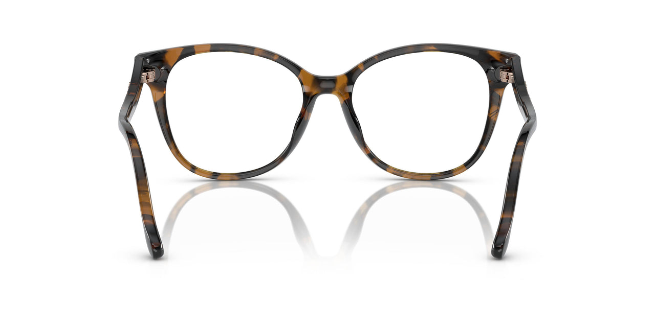 5120 - Tortoise