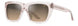 Maui Jim ALOHA LANE MJ893 Sunglasses