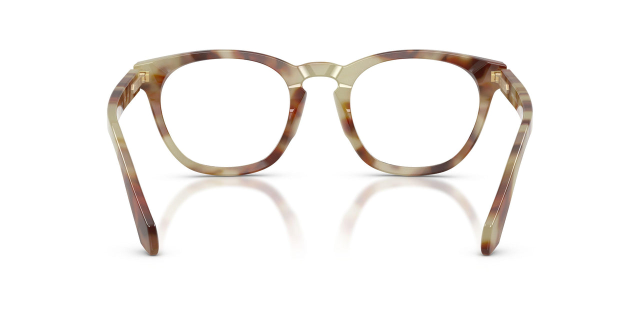 6299 - Tortoise