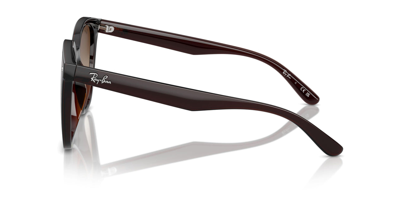 714/13 - Brown - Brown