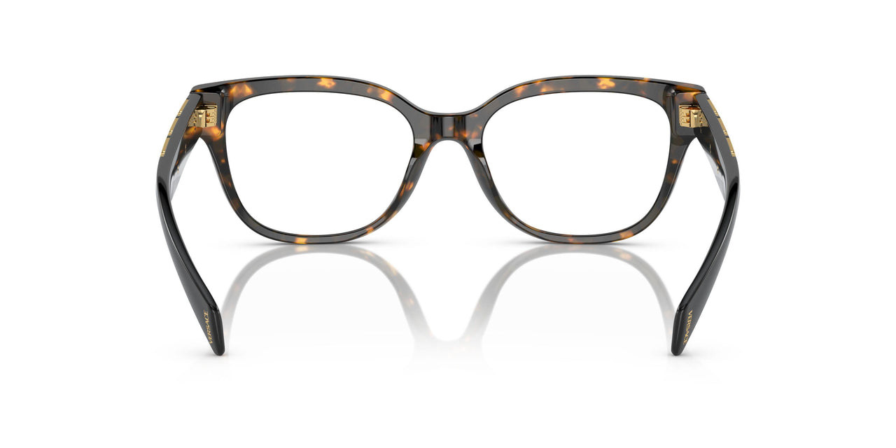 5404 - Tortoise