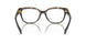 5404 - Tortoise