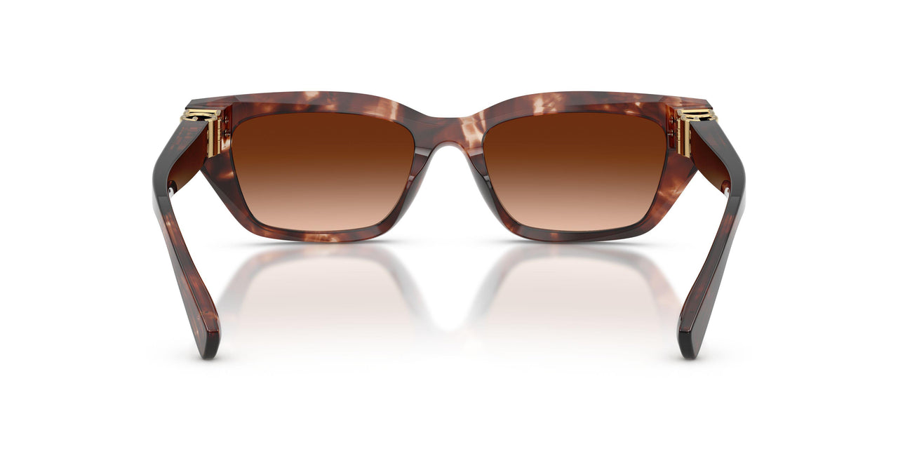 322274 - Red - Brown Gradient