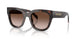 17N80A - Tortoise - Brown Gradient