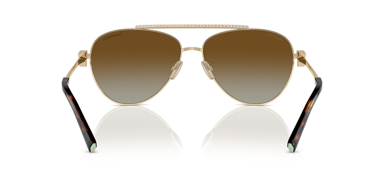 6208T5 - Gold - Polarized Brown Gradient
